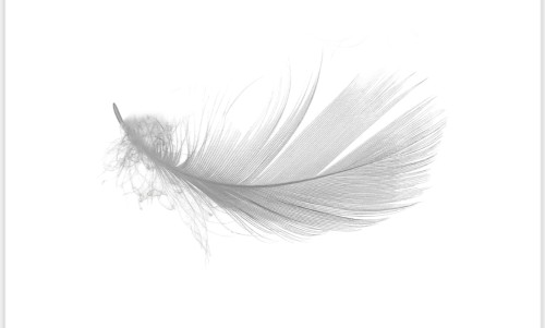 The logo for R H Bond Funeral Directors