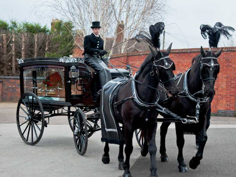 Find out more about Barnes & Hicks Ltd