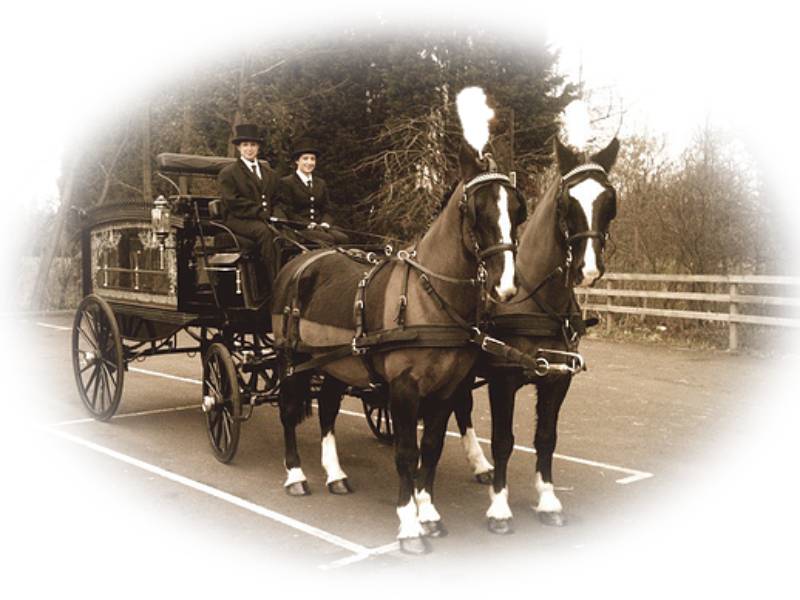 Find out more about J W Peters