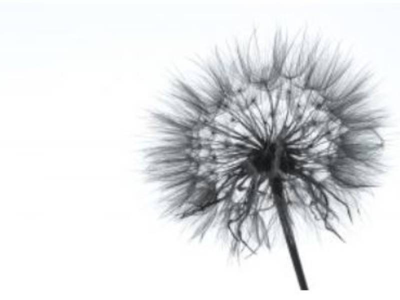Find out more about Neville Funerals Dunstable