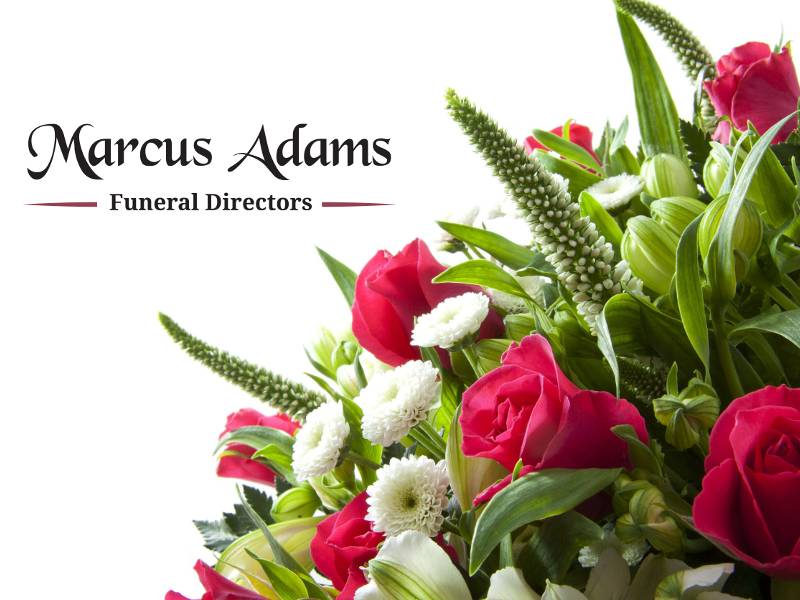 Find out more about Marcus Adams