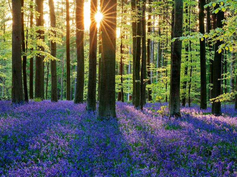 Find out more about Woodlands Funerals Ltd