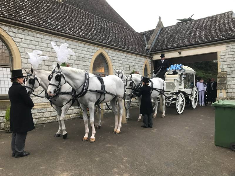 Find out more about A & J Morriss & Sons