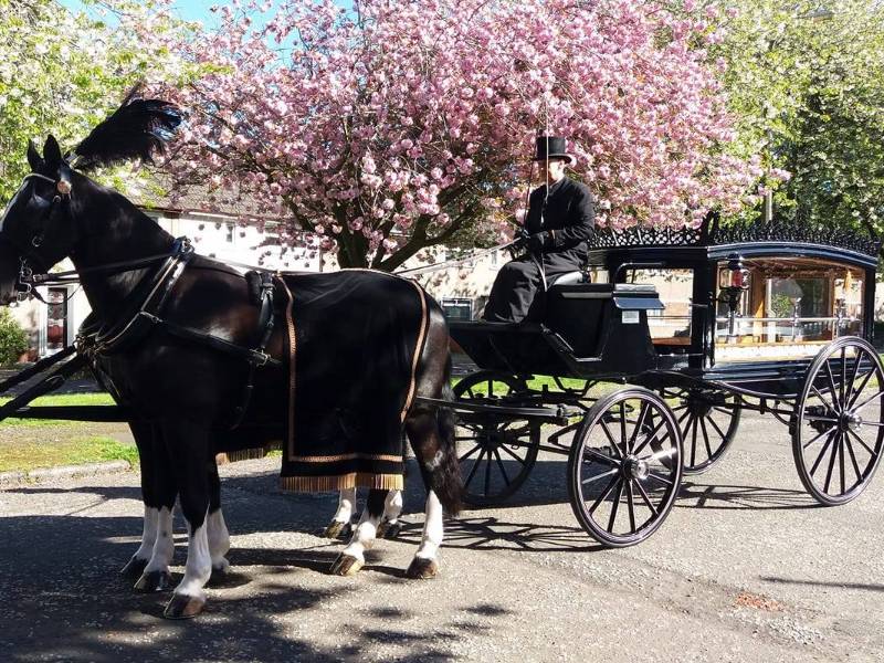 Find out more about Green Oak Funeral Services