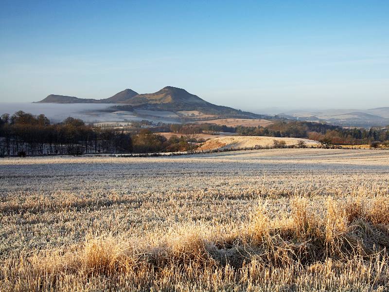 Find out more about Thomas Brown & Sons Ltd