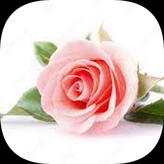 A photo of JOYCE MURRAY