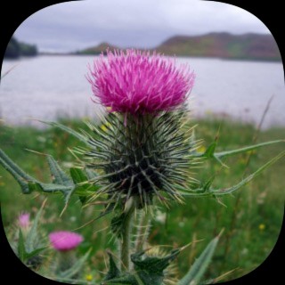 A photo of Alan Dunn