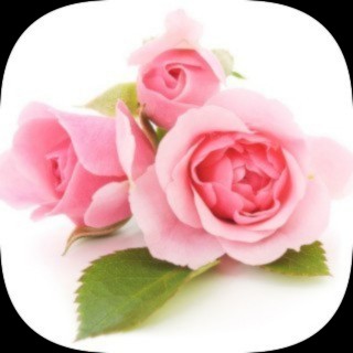 A photo of Emily McCann